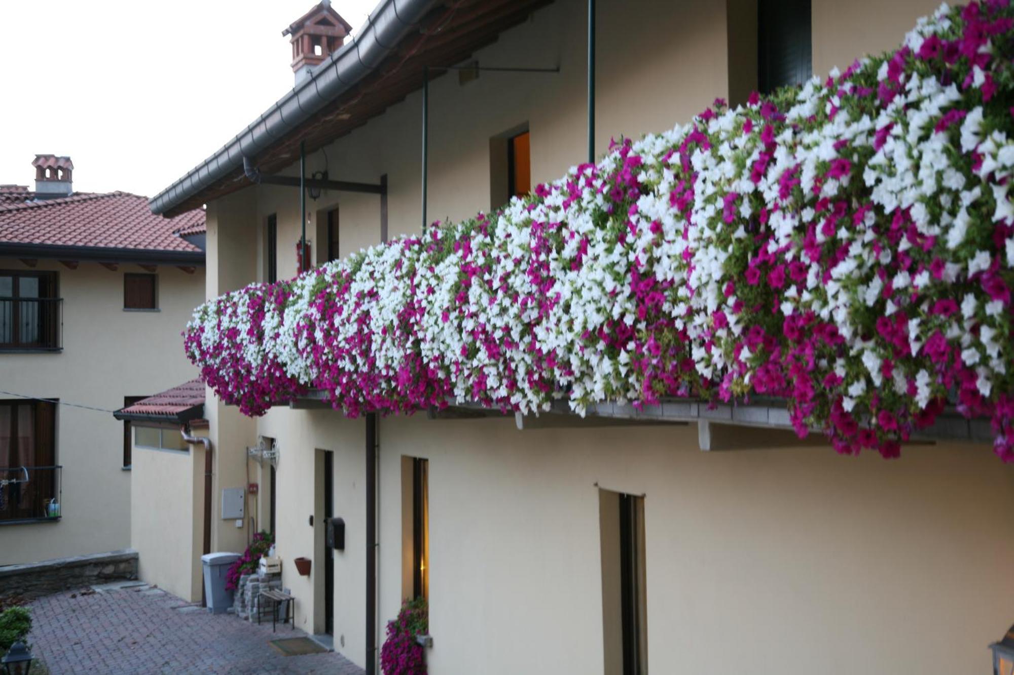 Locanda Dell'Oca Bianca Como Zewnętrze zdjęcie